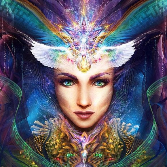 Meet your Posher, Posh - Picture 1 of 1